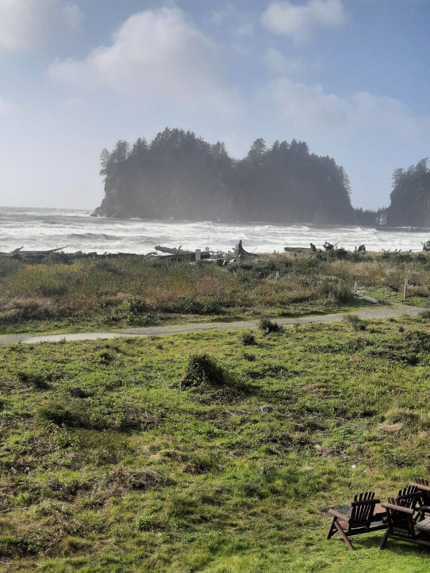 A grassy area with a view of the ocean and a forested island in the distance.