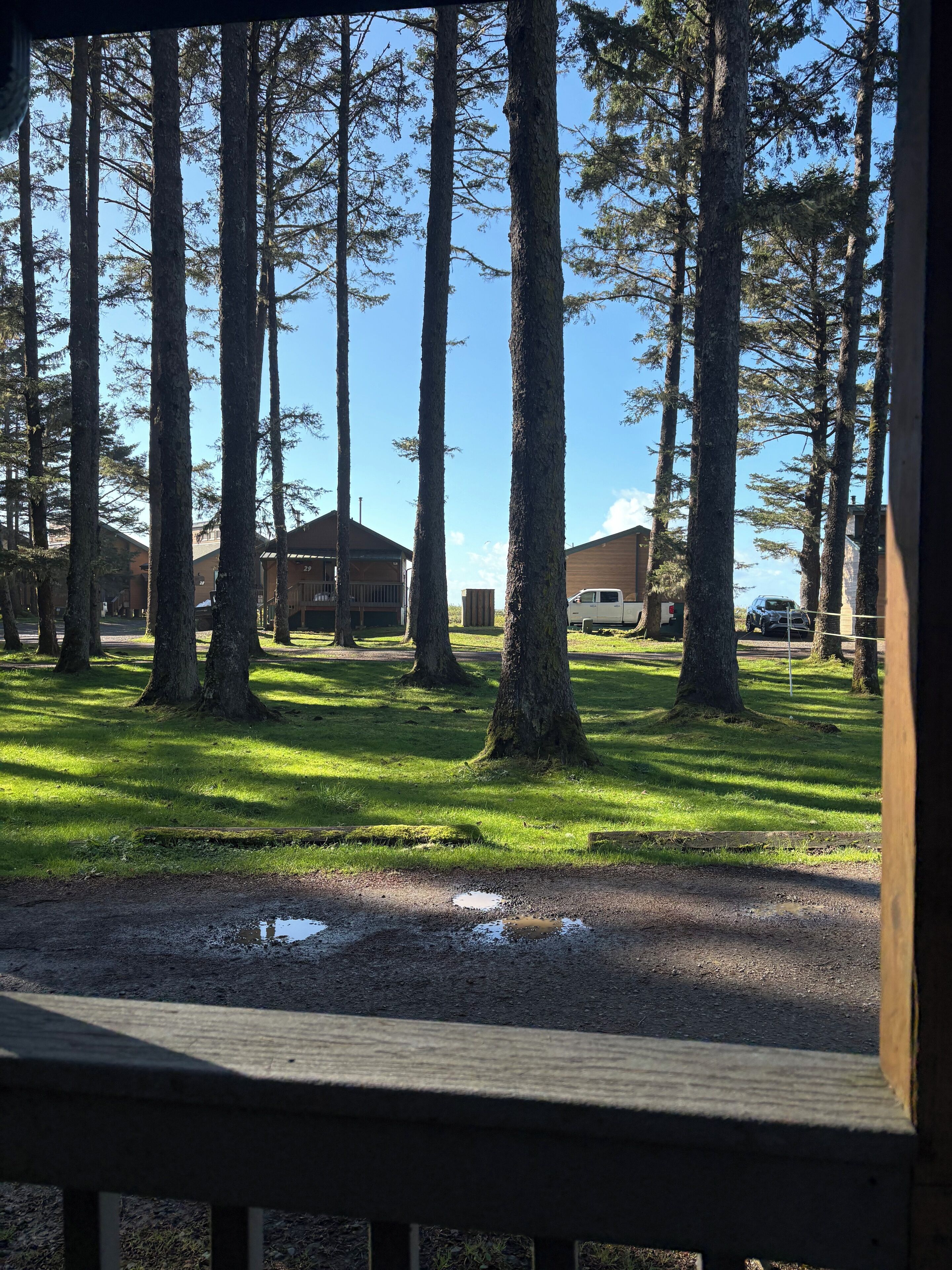 Vista de árboles altos y un edificio con un espacio cubierto, posiblemente un parque o área de recreación.