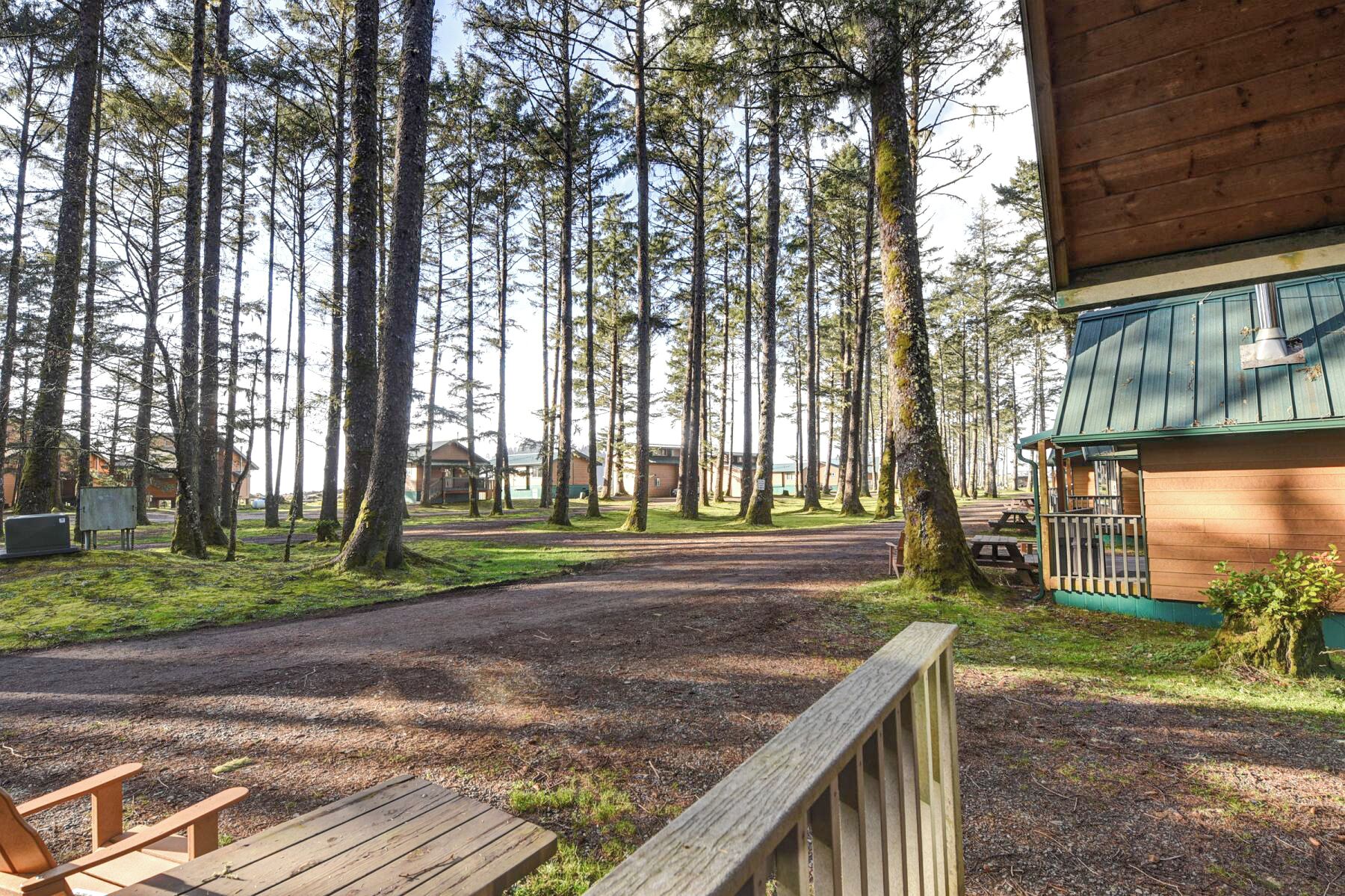 A forested area with a wooden building, a gravel path, and a picnic table.