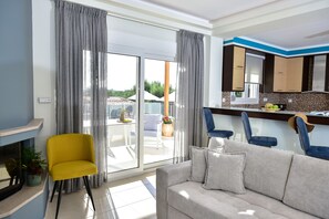 Smart TV, fireplace, books