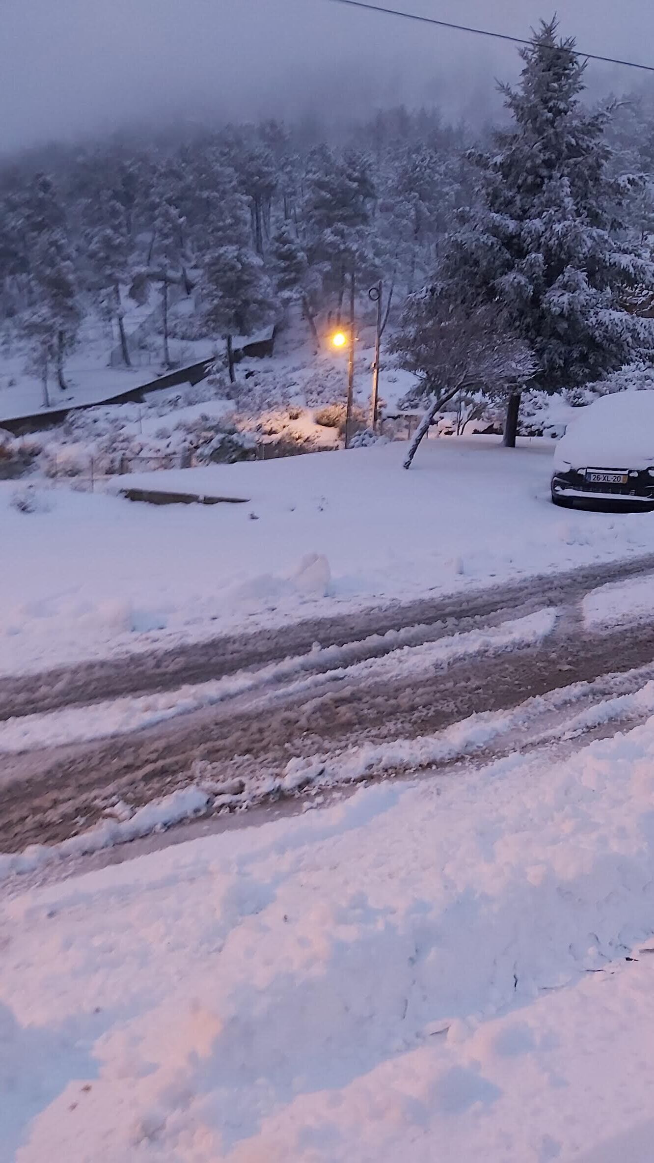 Et sneklædt landskab med en vej, en lygtepæl og et køretøj.