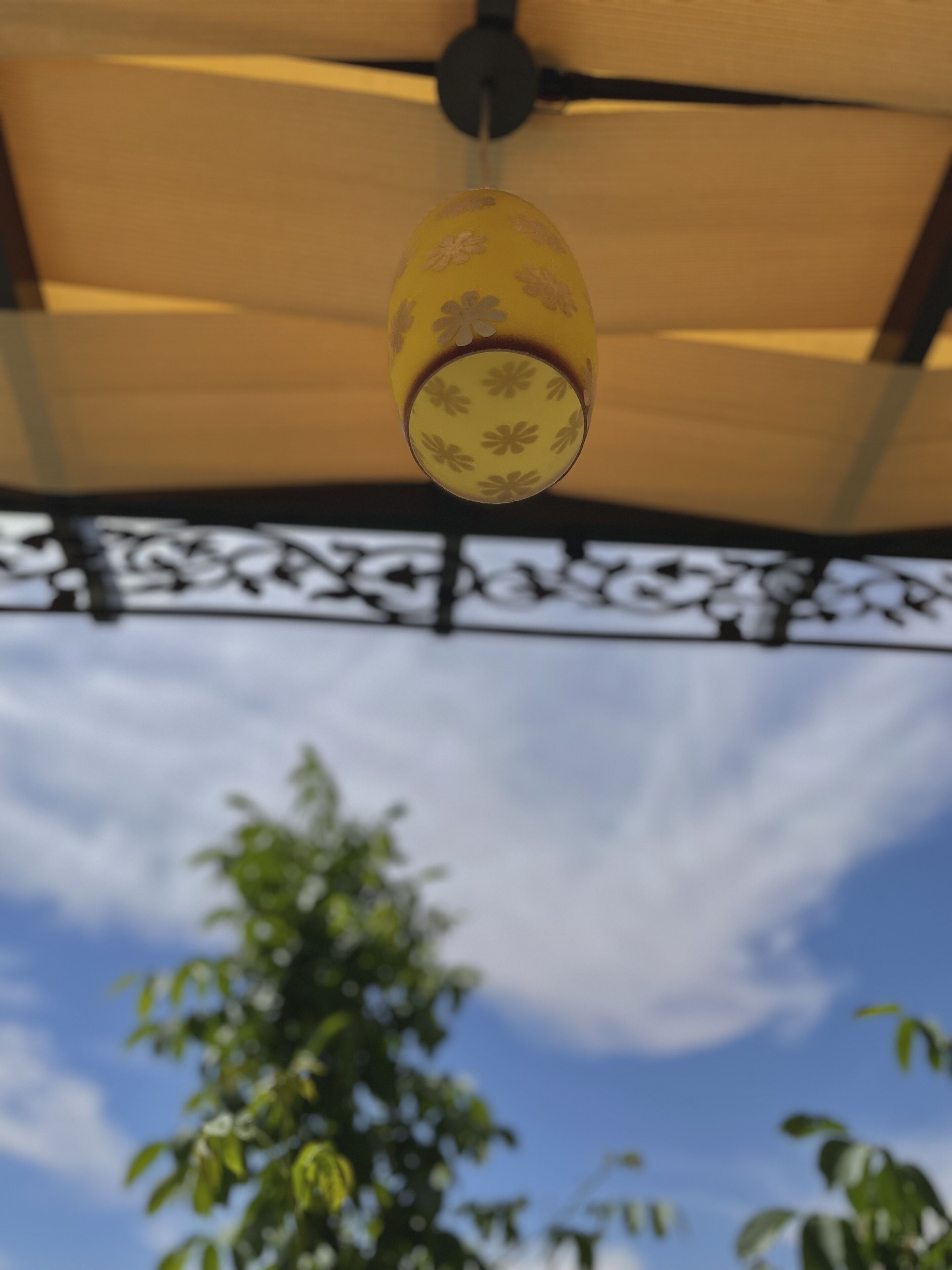 Foto - Fragrant Rose