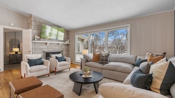 Smart TV, fireplace, books