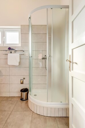 Casa | Baño | Regadera, secadora de cabello, toallas, jabón 