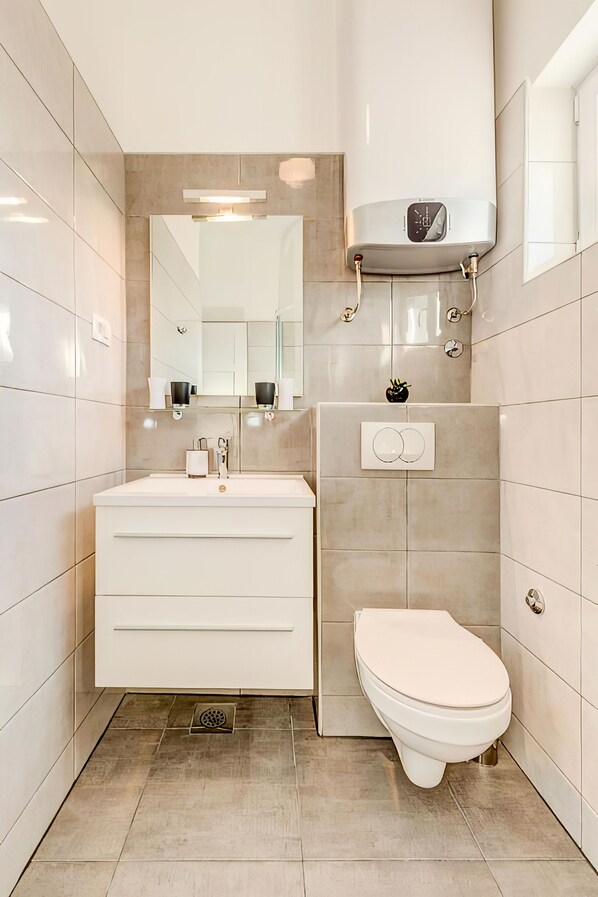 Casa | Baño | Regadera, secadora de cabello, toallas, jabón 