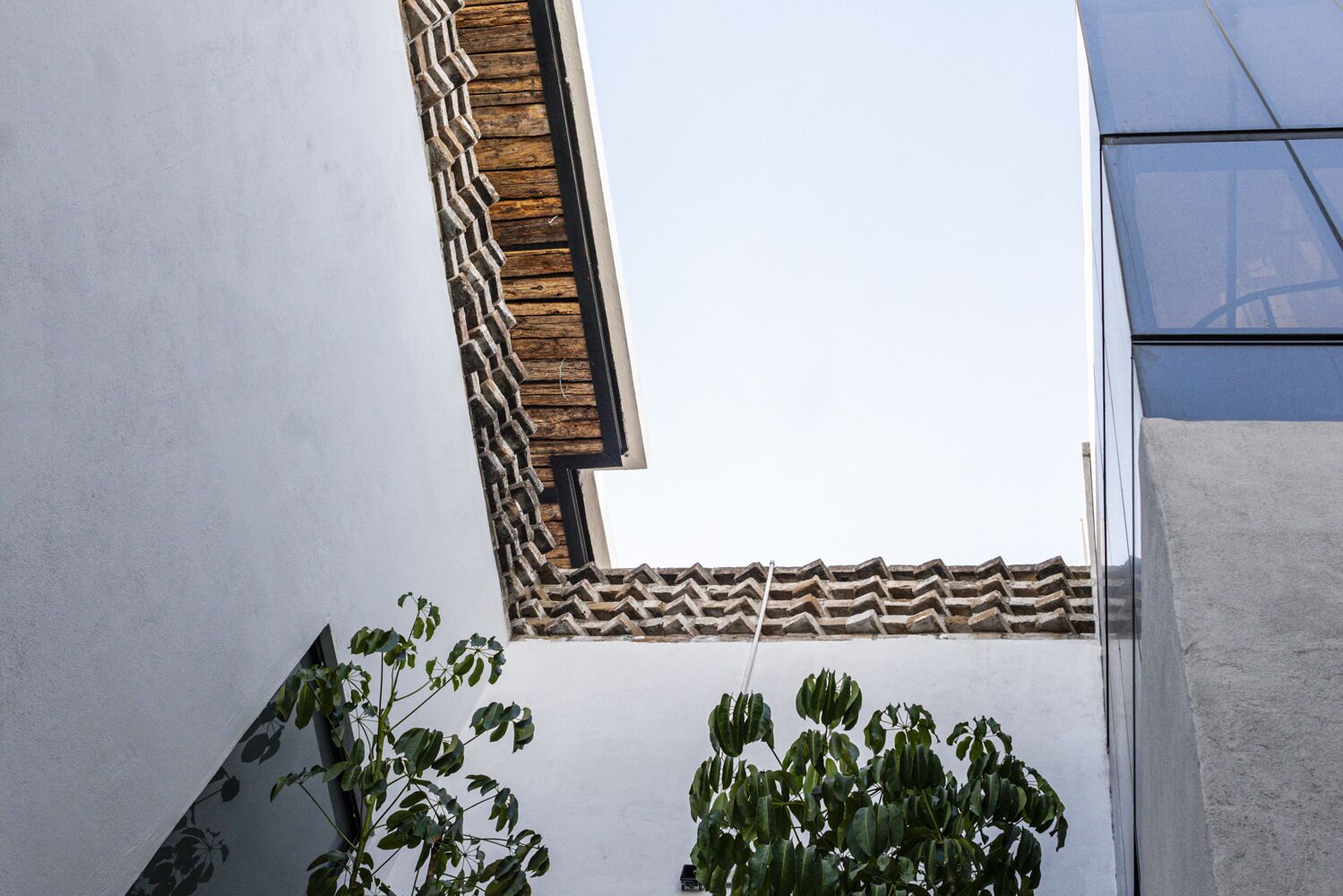 A corner view of a building with a white wall, a wooden decorative element, and a plant.