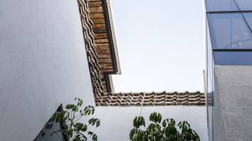 A corner view of a building with a white wall, a wooden decorative element, and a plant.