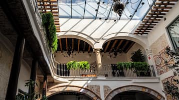 Standard-Einzelzimmer | Terrasse/Patio