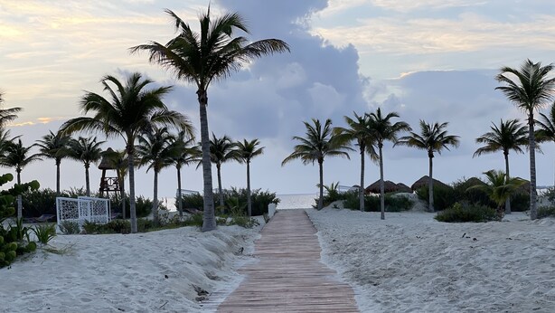 A wooden boardwalk leading to a beach with palm trees and thatched-roof huts.