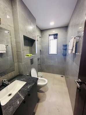 Regadera, toallas, jabón, shampoo 
