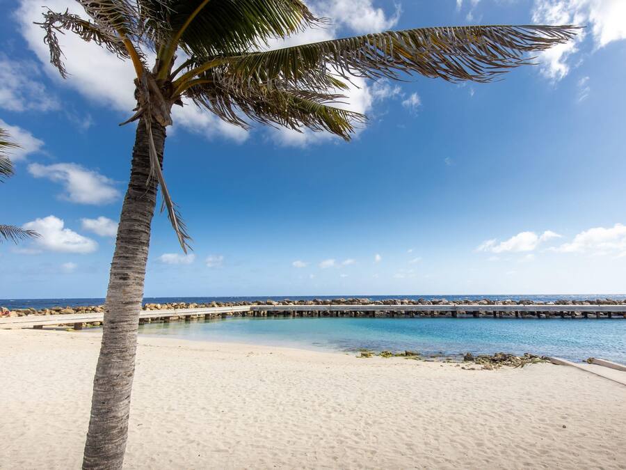 Apartament | 1 dormitori i Internet