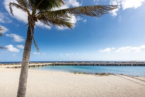 A beach with a palm tree, clear blue sky, and a pier extending into the water. - Fully Equipped Modern Loft - Hidden Gem in Willemstad (Willemstad)