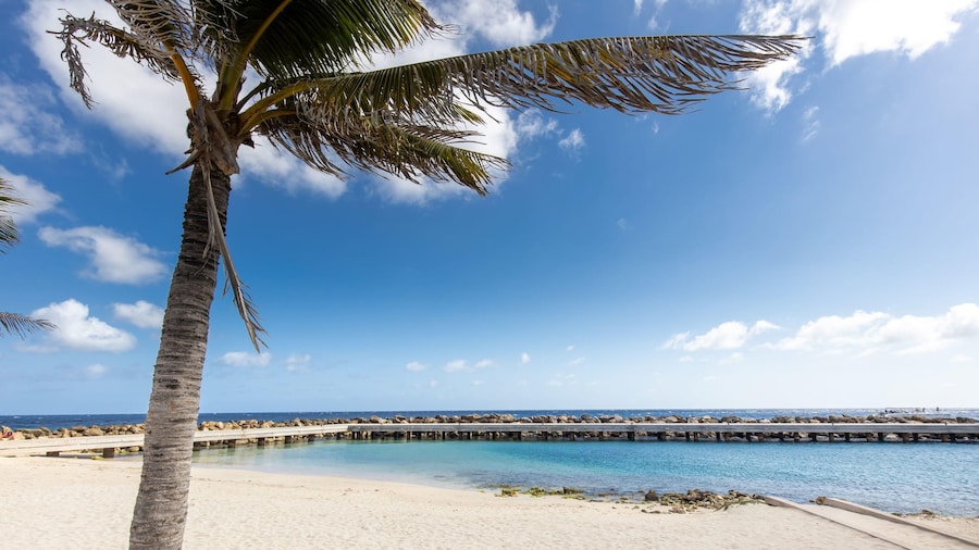 Fully Equipped Modern Loft - Hidden Gem in Willemstad