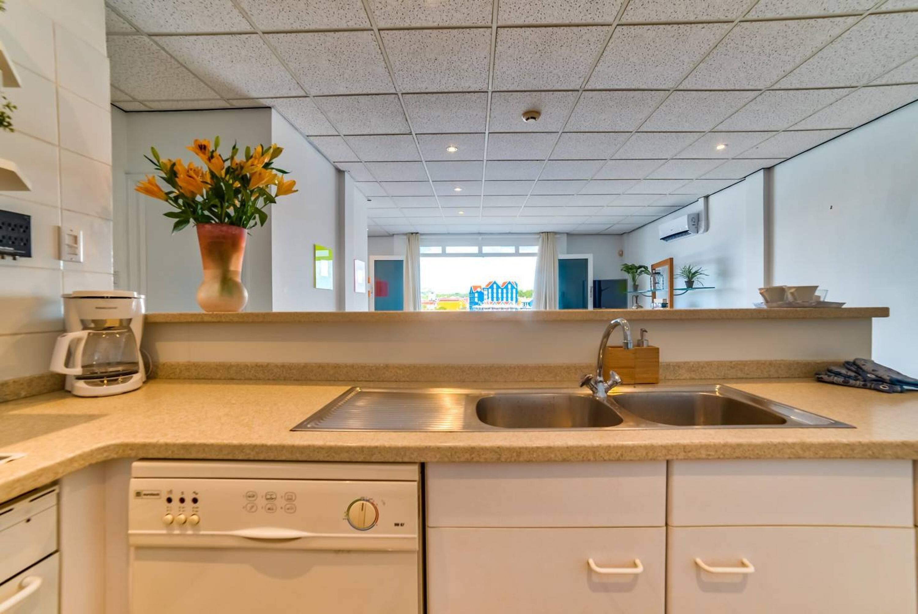 A modern kitchen with a double sink, a coffee maker, and a dishwasher.