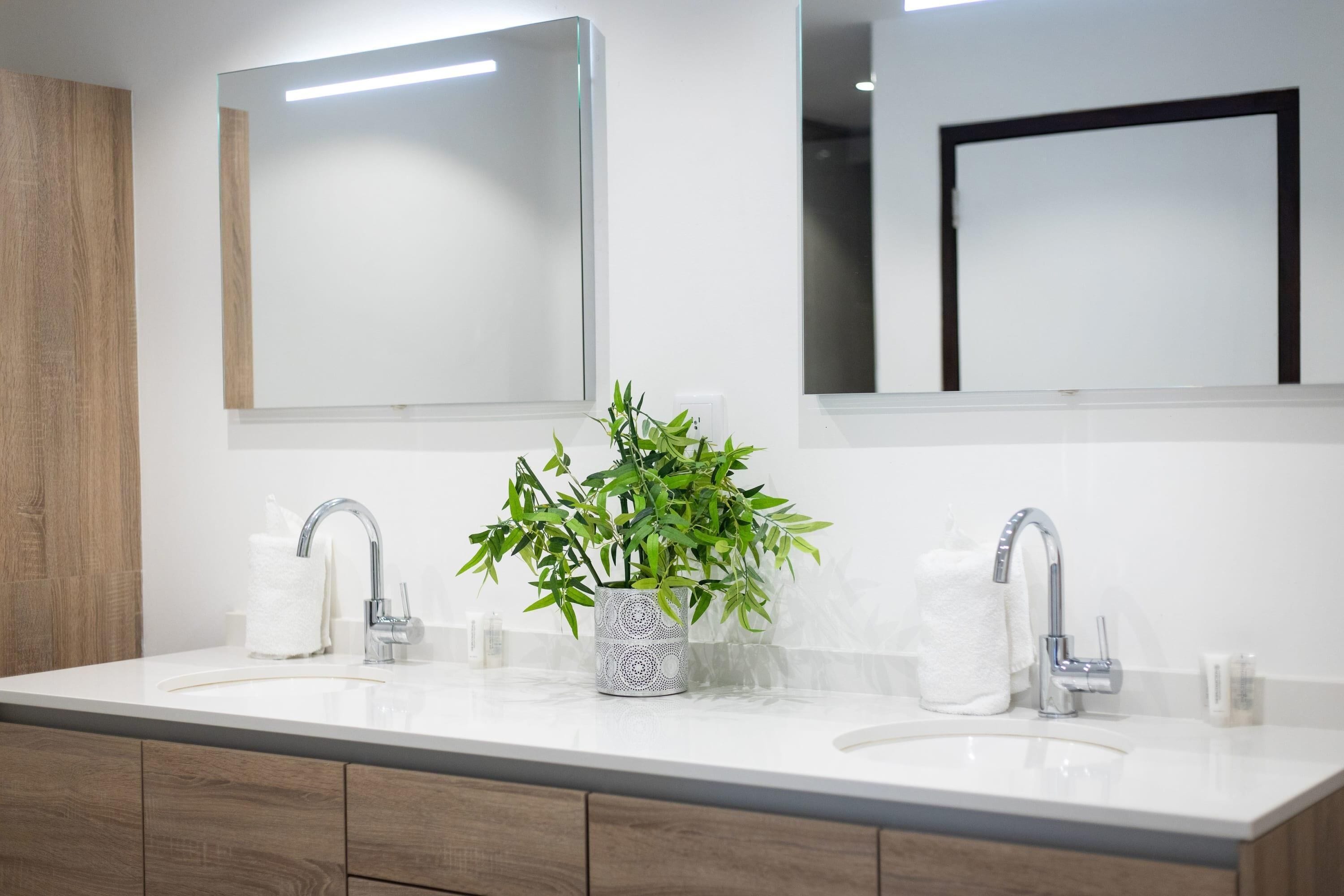 Une salle de bain moderne avec deux lavabos, une plante en pot et de grands miroirs.
