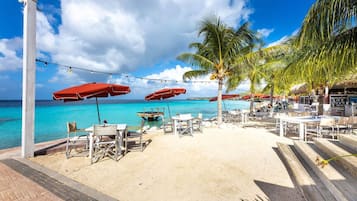 A beachside restaurant with outdoor seating, palm trees, and a view of the ocean.