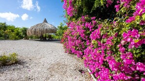 Un chemin de gravier mène à une construction au toit de chaume, entourée de magnifiques bougainvilliers aux fleurs roses éclatantes.