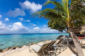 A beach with lounge chairs and a palm tree. - Seaside Rhapsody at Villa Kolibreeze (St. Marie)