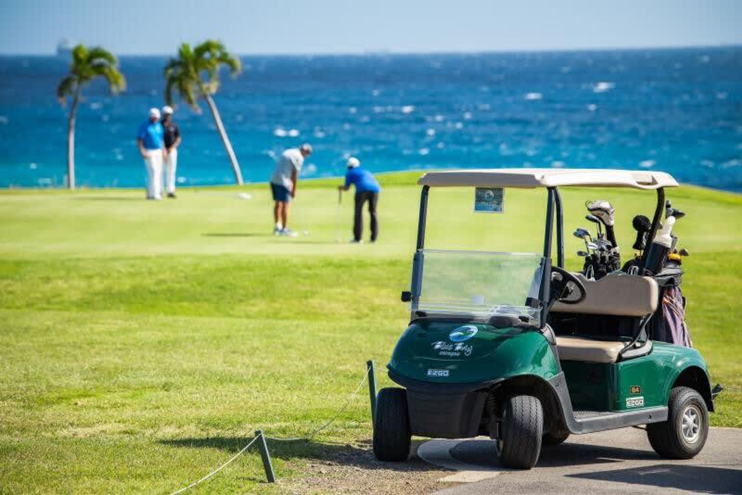 獨棟房屋 | 3 間臥室、網路服務