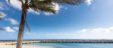 Apartamento | 2 dormitorios y Internet