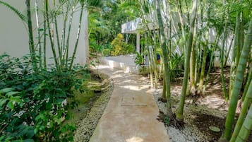 Departamento | 1 habitación