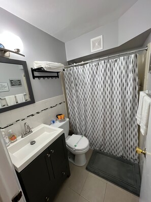 Hair dryer, towels, soap, shampoo