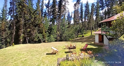 Beautiful 4-bedroom country house in the forest! Wi-Fi, 1.7 acre land