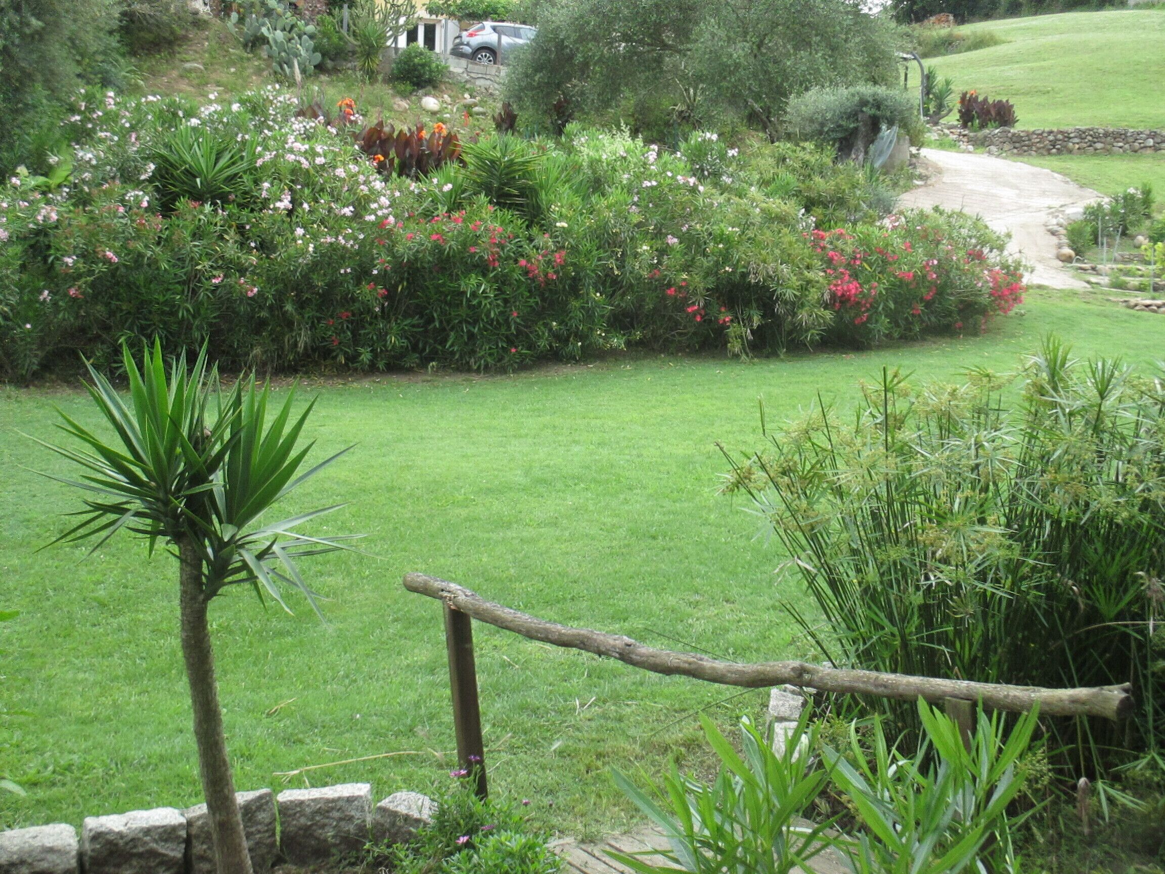 Jardines del alojamiento