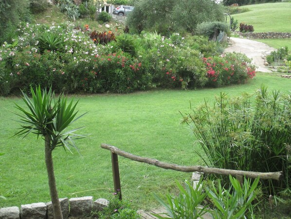 Property grounds - t1 in Porticcio in a green setting (porticco Grosseto-Prugna)