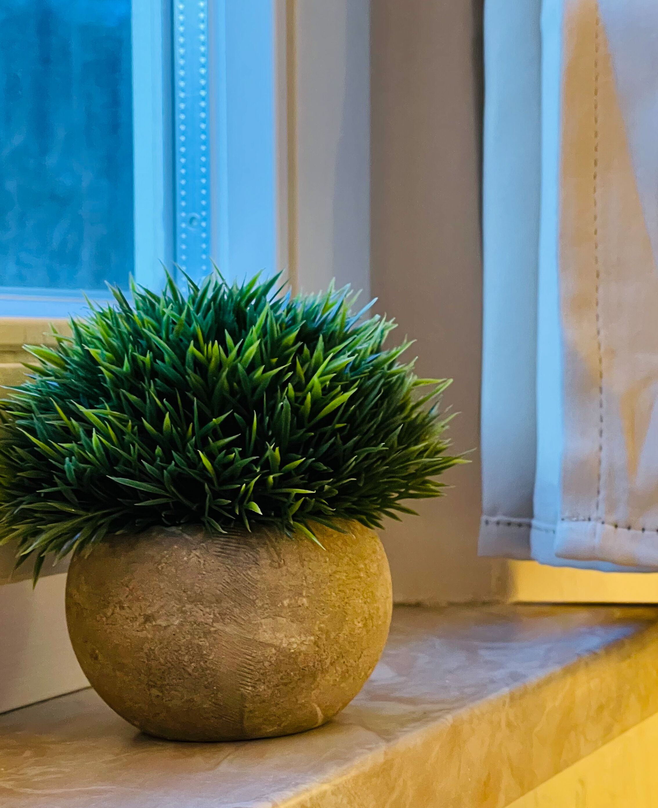 Ein Blumentopf auf einem Fensterbrett.
