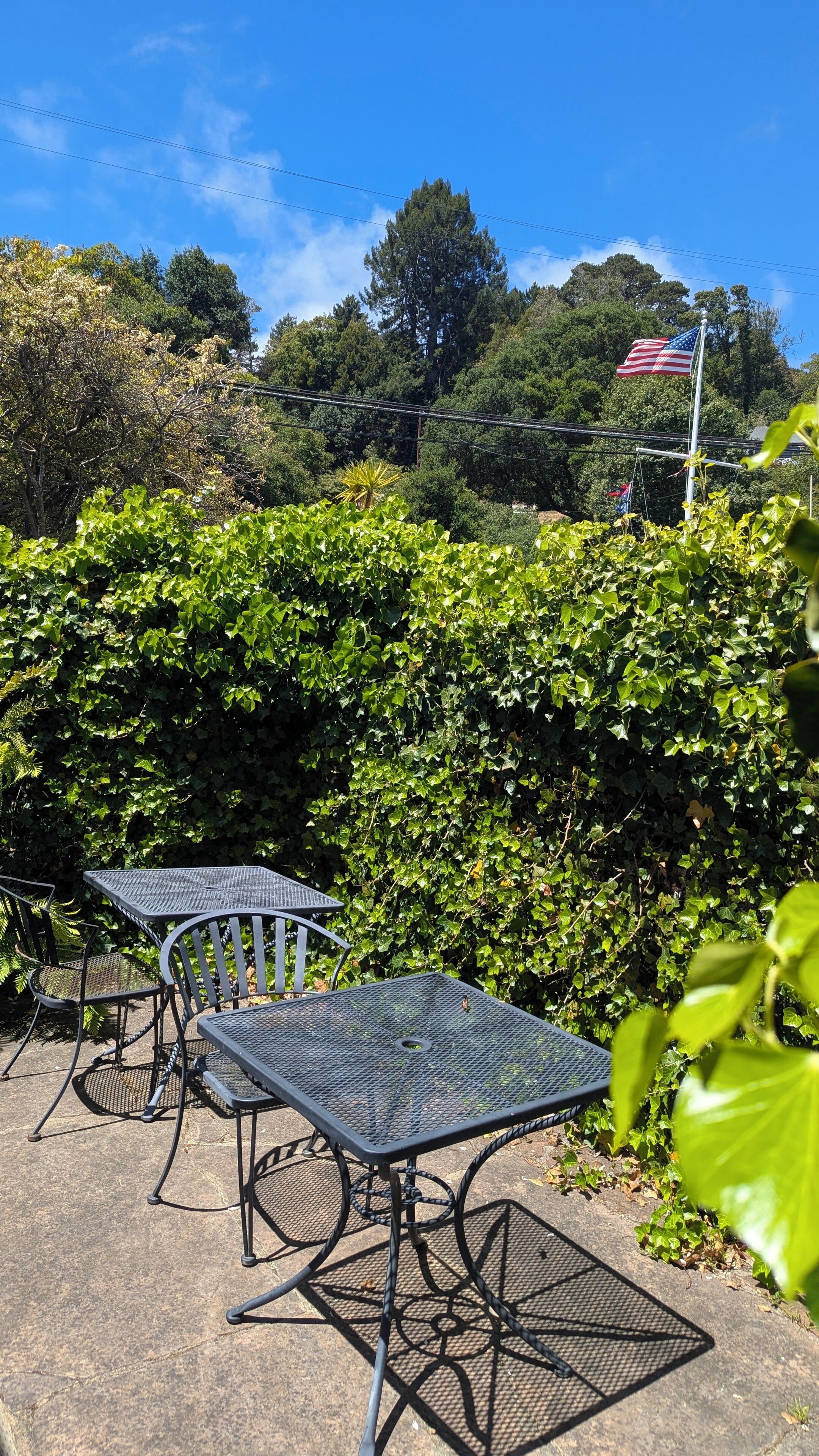 Une terrasse extérieure avec des tables et des chaises en métal, entourée d’un feuillage verdoyant et luxuriant, sous un ciel bleu dégagé.