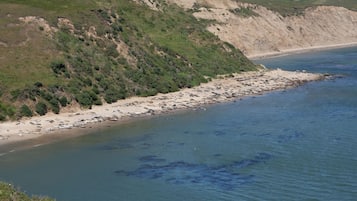 Vaellus