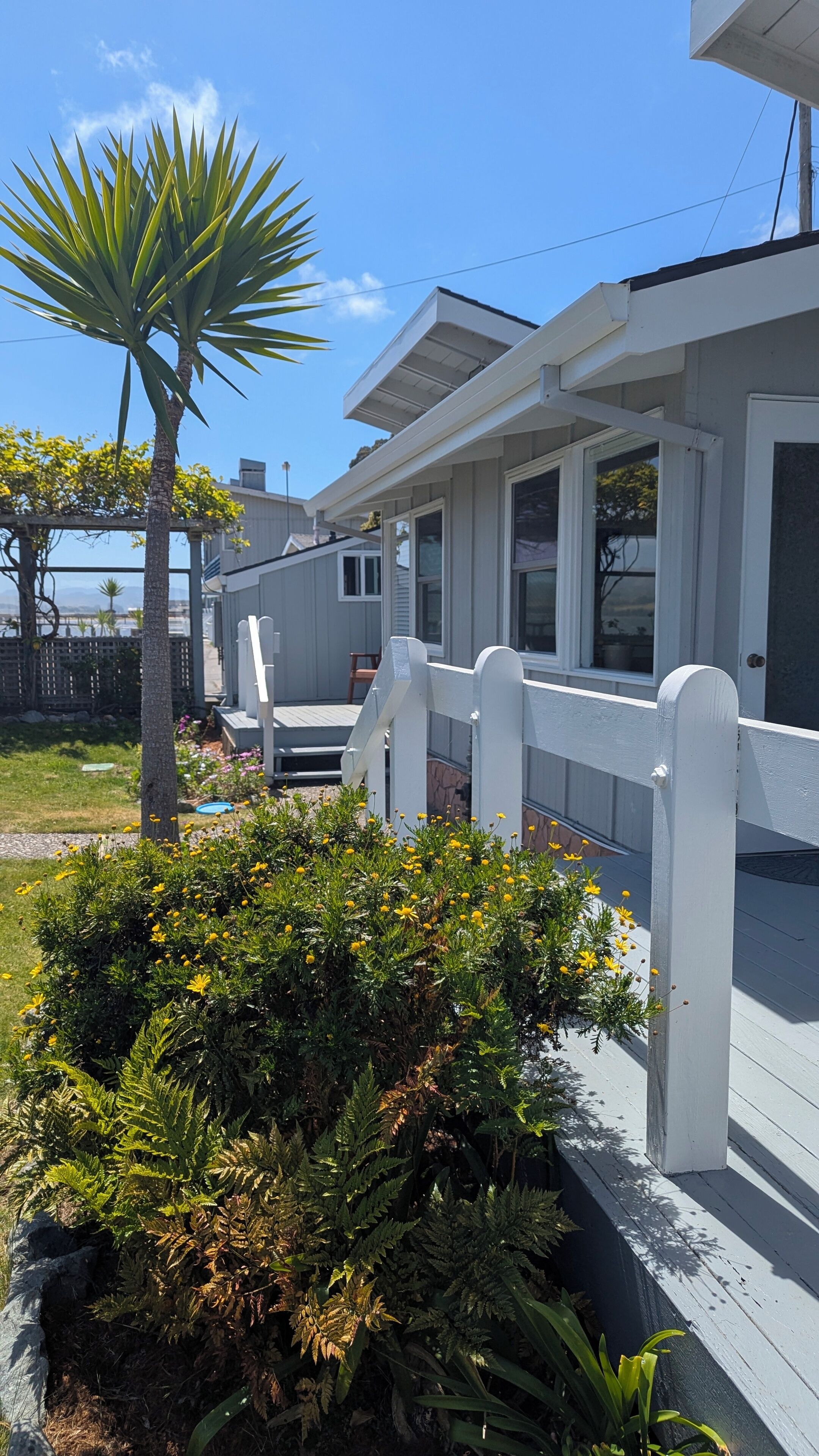 Junior Studio Suite | Terrace/patio