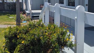 Junior Studio Suite | Terrace/patio