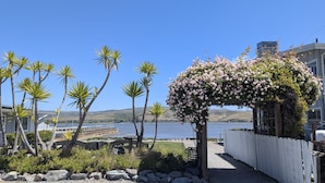 Een kustwoning met een houten pergola bedekt met roze bloemen, palmbomen en uitzicht op zee.