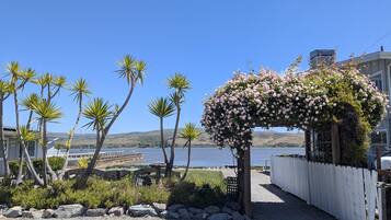 Basic Room 1 King Bed, Bay View (Pet Friendly) | Property grounds