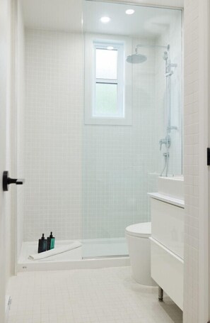 Hair dryer, towels, soap, shampoo