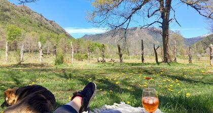 Hermoso Lodge Para dos Personas en Malalcahuello