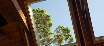 Shell House - Huskisson