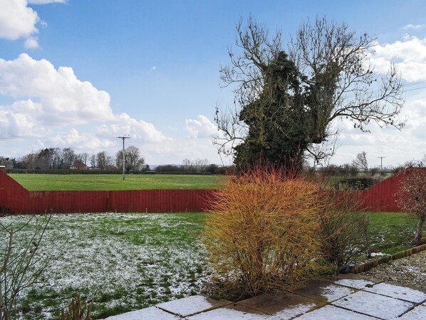 A rural landscape with a large tree, a red fence, and a grassy field with patches of snow.