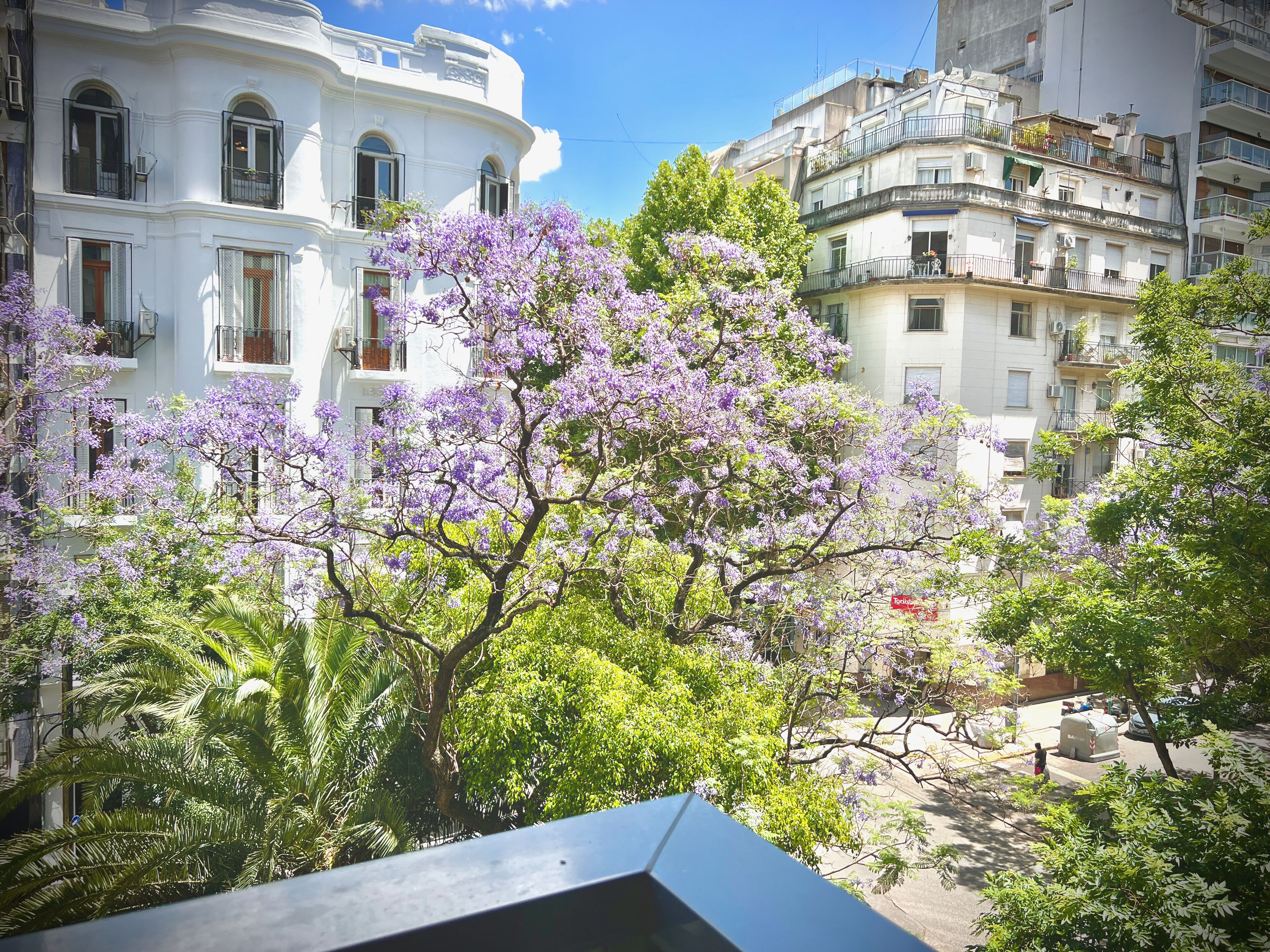 Exclusive Apartment, 1 Bedroom, City View (PV1) | City view