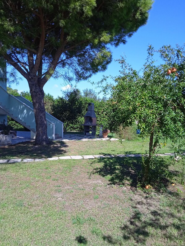 Habitación clásica con 1 cama matrimonial o 2 individuales, vista al jardín | Vista al jardín