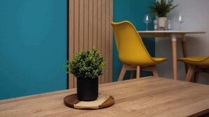Un tavolo di legno con una pianta in vaso, sedie gialle e un divisorio in legno in un ambiente moderno.