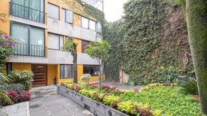 Exterior - Terraza & Loft San Ángel (Mexico City)