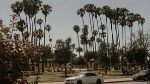 A parking lot with palm trees and a white car. - Walk to Beach! - Cozy SC Studio (San Clemente)