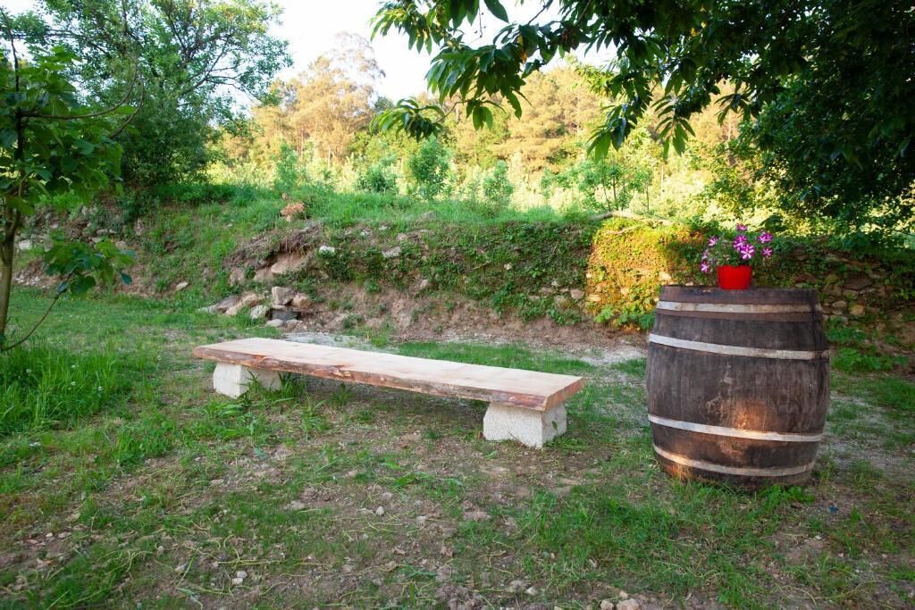 A wooden bench and a barrel in a natural setting with greenery and trees.