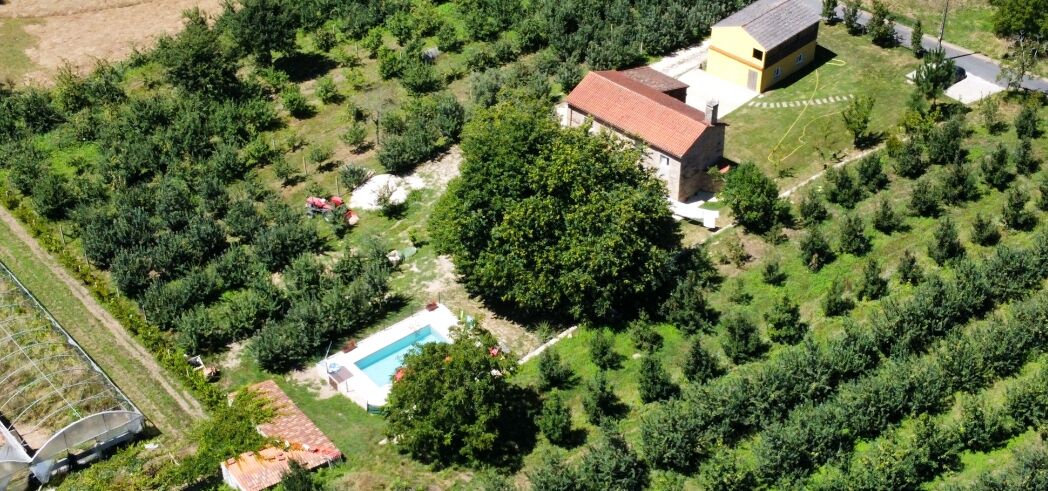 Vue aérienne d’une propriété dotée d’une piscine, d’un grand arbre et d’un bâtiment surmonté d’un toit rouge.