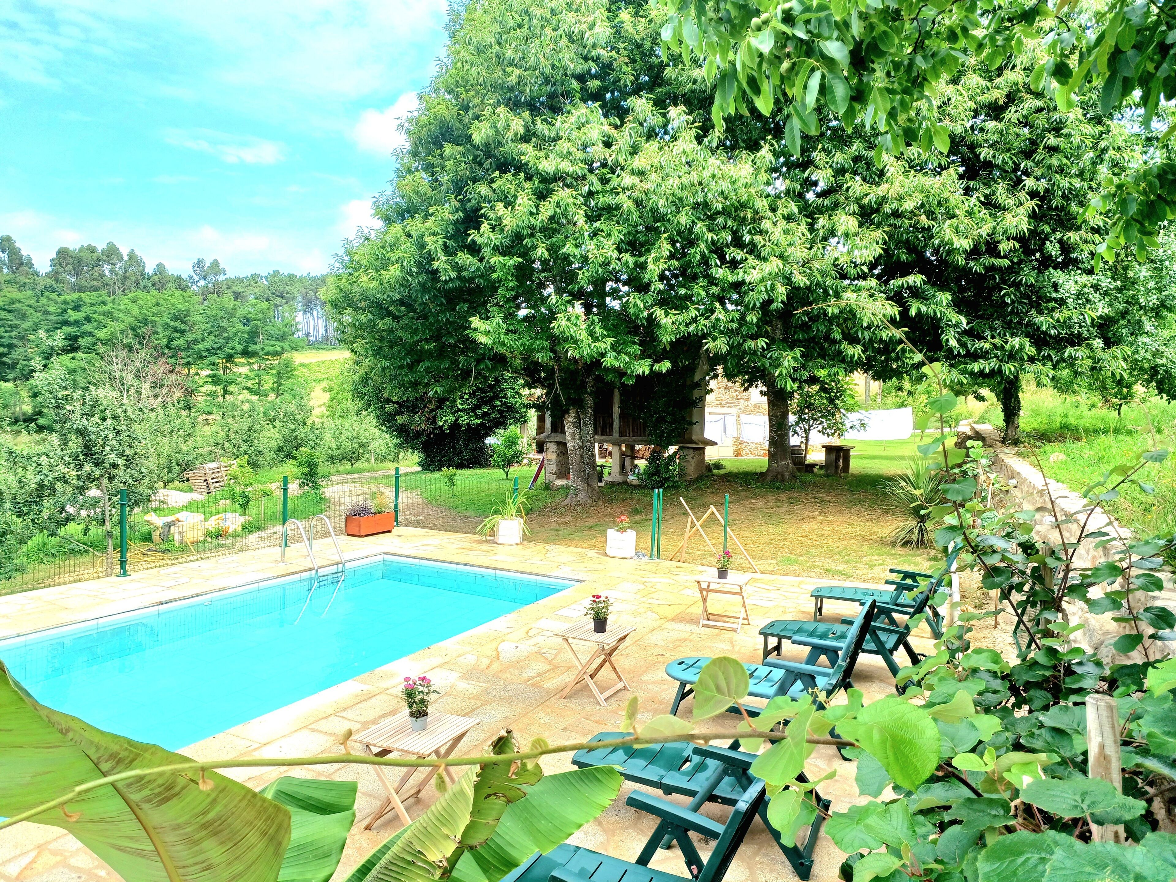 Piscina con sillas de descanso y una pérgola en un jardín.