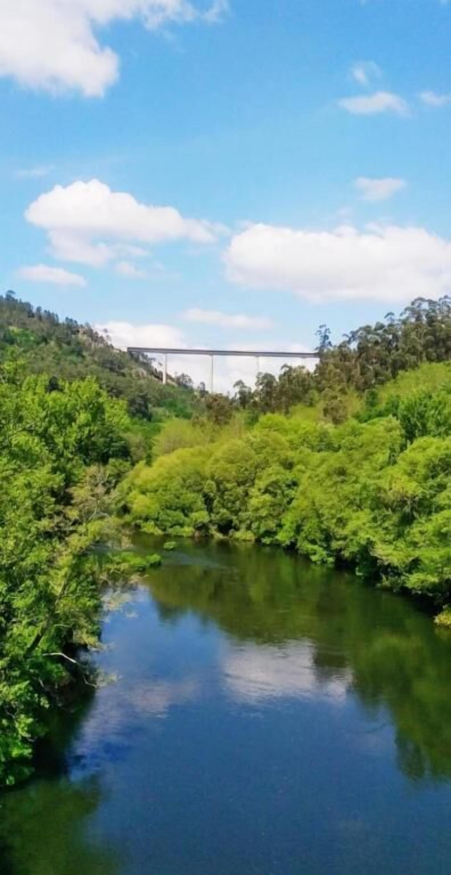 Ein Fluss mit dichtem Grün entlang der Ufer und einer Brücke im Hintergrund.