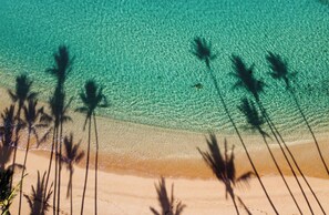 A beach with clear turquoise water, palm tree silhouettes, and a sandy shore.